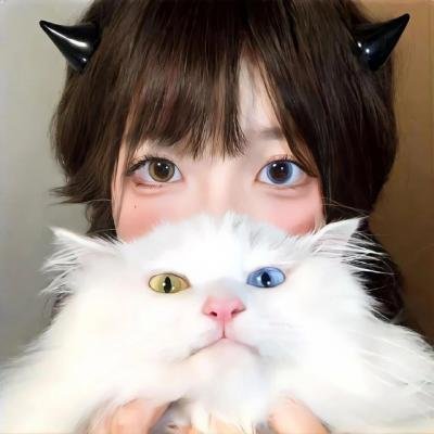 神捕铁飞花之冤冤相报